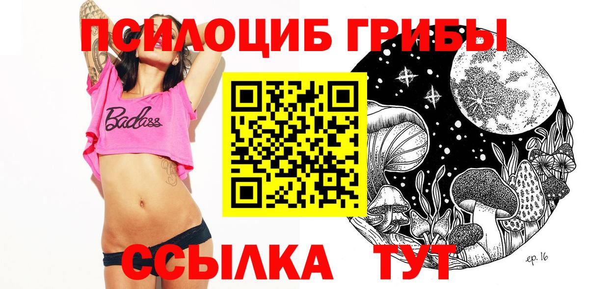 Псилоцибиновые грибы MAGIC MUSHROOMS Балтийск