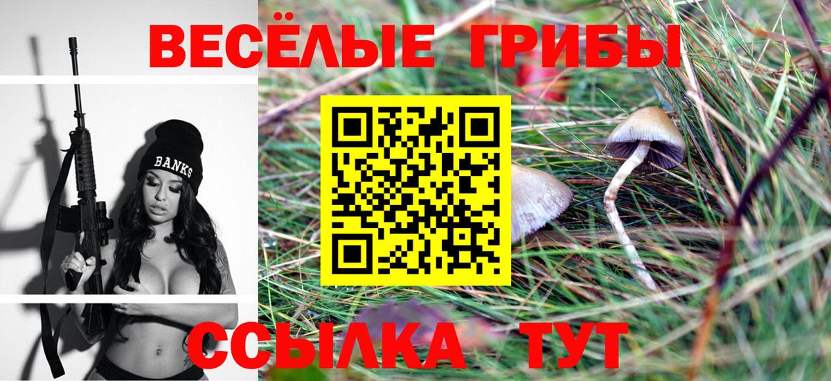 Псилоцибиновые грибы мицелий  Вход с VPN  Балтийск  Галлюциногенные грибы прущие грибы 