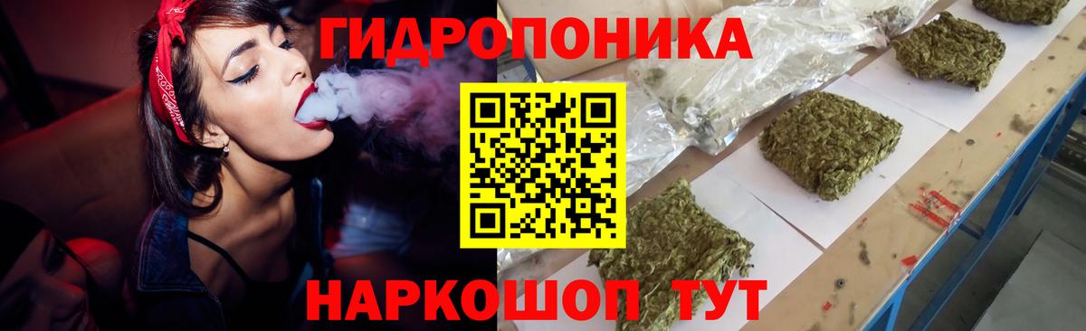 Каннабис Amnesia Балтийск